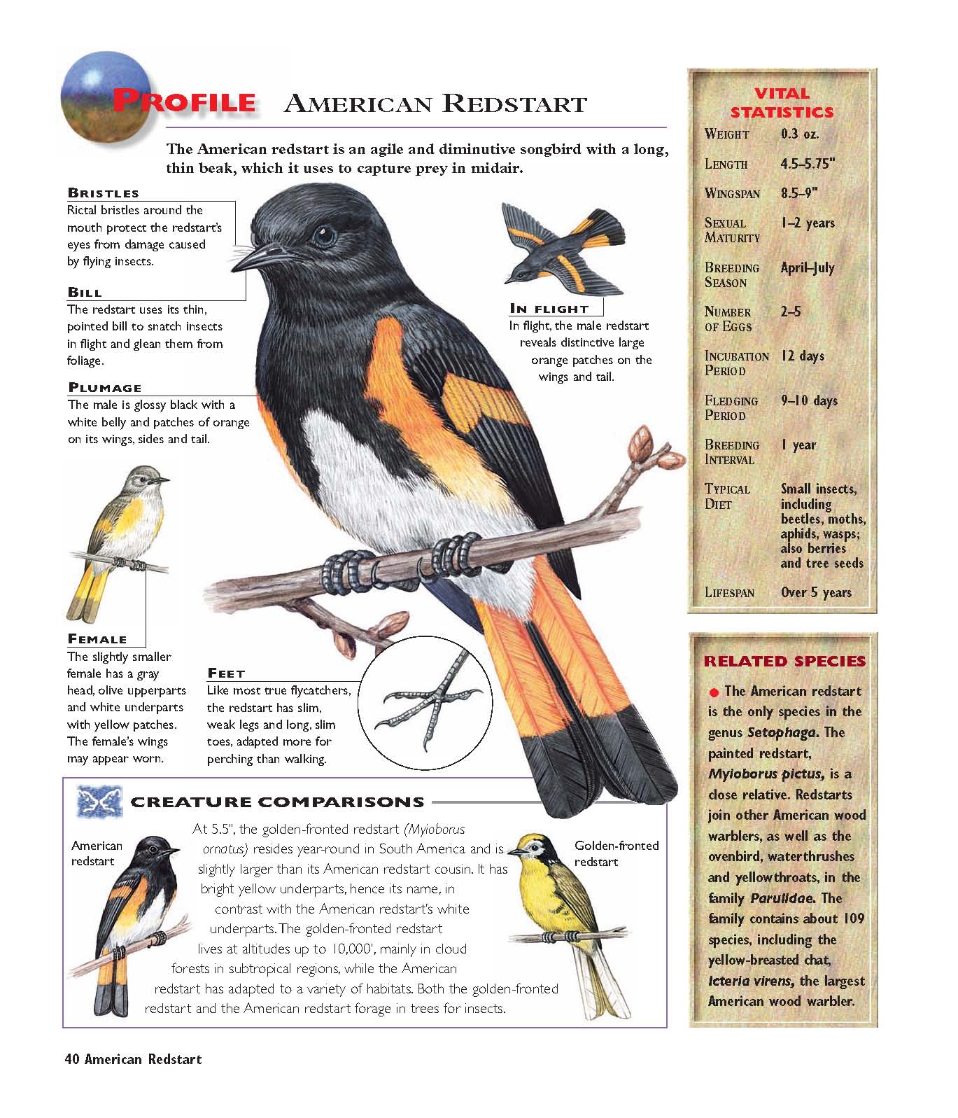 Navigation menu